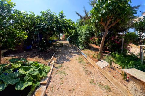 Villa i Albatera, Alicante, Albatera - € 260.000 | Ref: EXP10123/8930 - foto 43