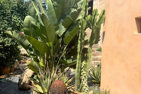 Landsbyhus i Sant Joan, Mallorca, Sant Joan - € 750.000 | Ref: St Joan I 750 - foto 40