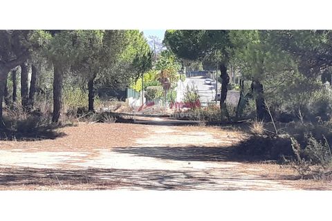 Helårsgrund i Almancil, Faro, Almancil - € 1.975.000 | Ref: 40JC1116 - foto 3