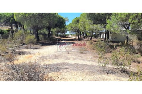 Helårsgrund i Almancil, Faro, Almancil - € 2.275.000 | Ref: 41JC1116 - foto 1