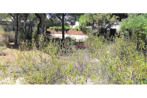 Helårsgrund i Almancil, Faro, Almancil - € 2.275.000 | Ref: 41JC1116 - foto 3
