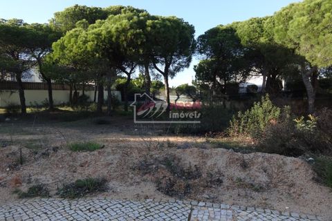 Helårsgrund i Almancil, Faro, Almancil - € 2.275.000 | Ref: 41JC1116 - foto 4