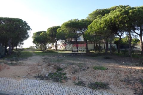Helårsgrund i Almancil, Faro, Almancil - € 2.275.000 | Ref: 41JC1116 - foto 5