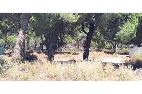 Helårsgrund i Almancil, Faro, Almancil - € 1.975.000 | Ref: 39JC1116 - foto 2