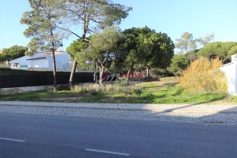 Helårsgrund i Almancil, Faro, Almancil - € 1.975.000 | Ref: 39JC1116 - foto 3