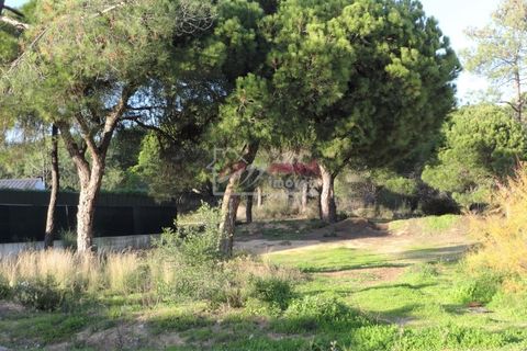 Helårsgrund i Almancil, Faro, Almancil - € 1.975.000 | Ref: 39JC1116 - foto 4
