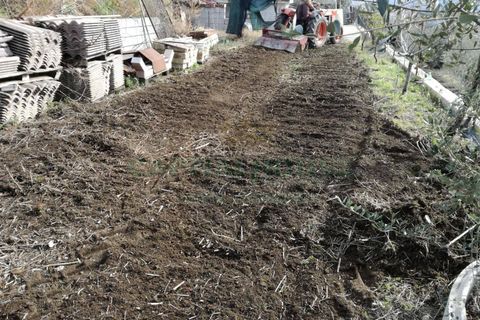 Terra a Avella, Avellino, Avella - € 33.000 | Ref: 459457 - foto 3