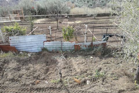Terra a Avella, Avellino, Avella - € 33.000 | Ref: 459457 - foto 4