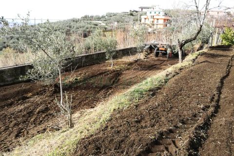 Terra a Avella, Avellino, Avella - € 33.000 | Ref: 459457 - foto 8