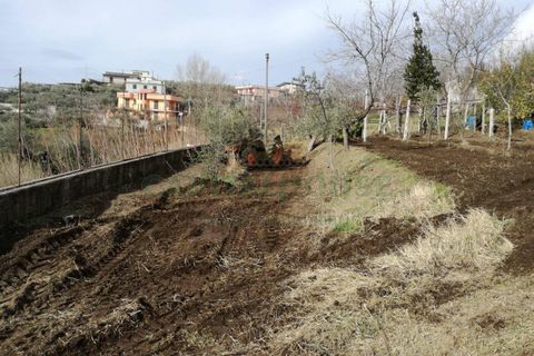Terra a Avella, Avellino, Avella - € 33.000 | Ref: 459457 - foto 10