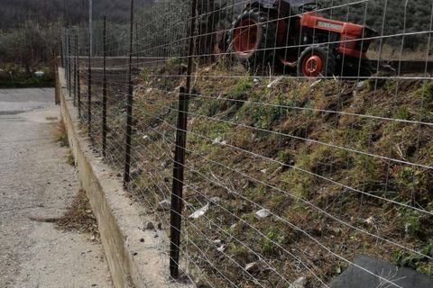 Terra a Avella, Avellino, Avella - € 33.000 | Ref: 459457 - foto 11