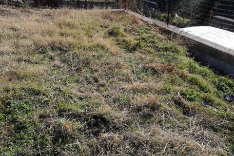 Terra a Avella, Avellino, Avella - € 33.000 | Ref: 459457 - foto 17
