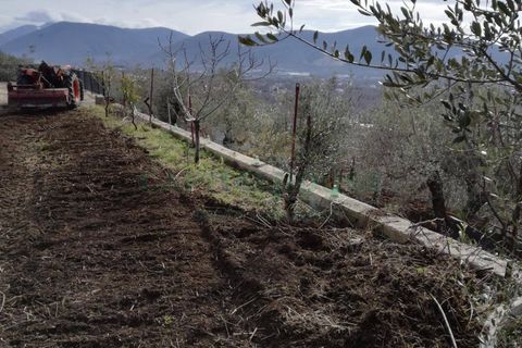 Terra a Avella, Avellino, Avella - € 33.000 | Ref: 459457 - foto 24