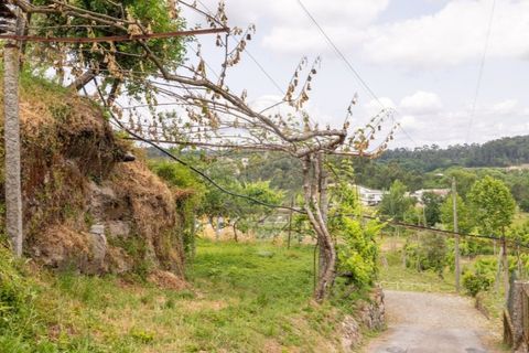 Helårsgrund i Lousada, Porto, Lousada - € 45.000 | Ref: 120781463-94 - foto 6