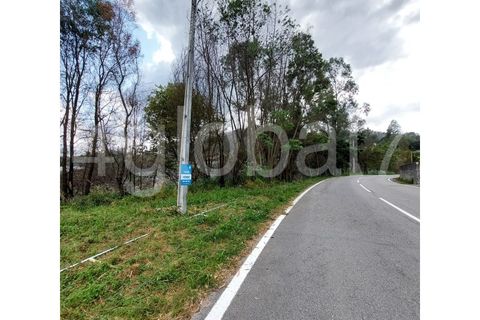 Helårsgrund i Sever do Vouga, Aveiro, Sever do Vouga - € 65.000 | Ref: TER_02255131 - foto 2