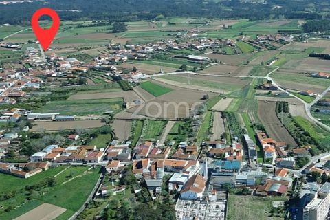 Helårsgrund i Arouca, Aveiro, Arouca - € 35.000 | Ref: ZMPT577782 - foto 7