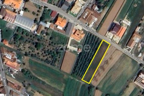 Helårsgrund i Arouca, Aveiro, Arouca - € 35.000 | Ref: ZMPT577782 - foto 13