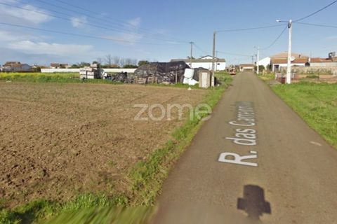 Helårsgrund i Arouca, Aveiro, Arouca - € 35.000 | Ref: ZMPT577782 - foto 14