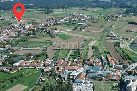 Terreno en Arouca, Aveiro, Arouca - € 35.000 | Ref: ZMPT577782 - photo 7