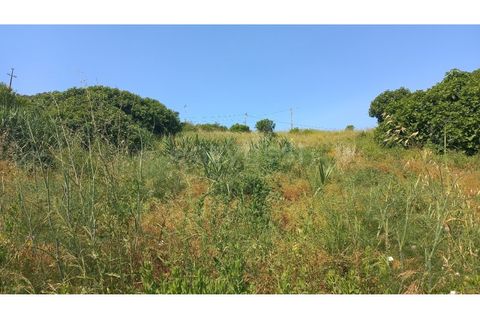 Terra a Pernes, Santarem, Pernes - € 26.900 | Ref: TM97455 - foto 2