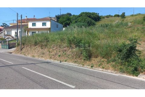 Terra a Pernes, Santarem, Pernes - € 26.900 | Ref: TM97455 - foto 3