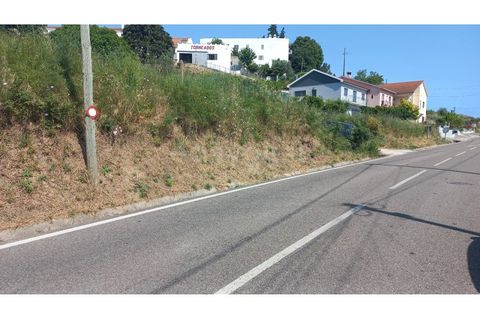 Terra a Pernes, Santarem, Pernes - € 26.900 | Ref: TM97455 - foto 6