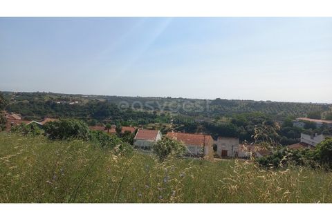 Terra a Pernes, Santarem, Pernes - € 26.900 | Ref: TM97455 - foto 7