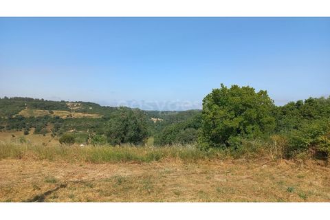 Terra a Pernes, Santarem, Pernes - € 26.900 | Ref: TM97455 - foto 9