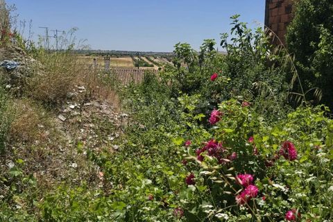 Villa i Beja, Beja, Beja - € 67.000 | Ref: BJ97424 - foto 15