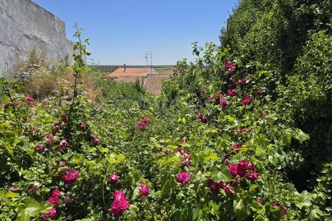 Villa i Beja, Beja, Beja - € 67.000 | Ref: BJ97424 - foto 19