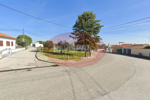 Helårsgrund i Alandroal, Evora, Alandroal - € 57.400 | Ref: NVSPT0036/2025 - foto 5