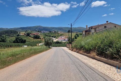 Helårsgrund i Cadaval, Lisbon, Cadaval - € 68.000 | Ref: 143936 - foto 1