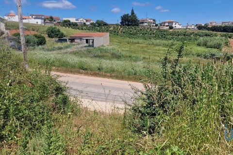 Helårsgrund i Cadaval, Lisbon, Cadaval - € 68.000 | Ref: 143936 - foto 4