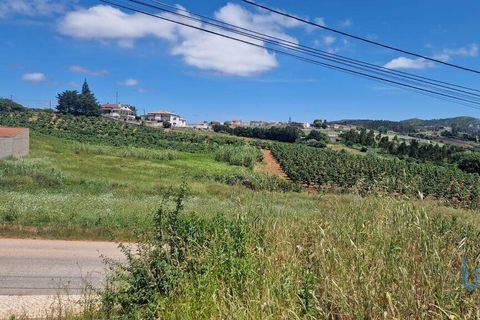 Helårsgrund i Cadaval, Lisbon, Cadaval - € 68.000 | Ref: 143936 - foto 7