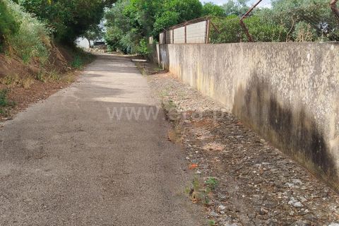 Helårsgrund i Alenquer, Lisbon, Alenquer - € 350.000 | Ref: 295250058 - foto 13
