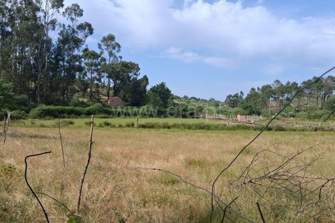Terra a Seia, Guarda, Seia - € 55.000 | Ref: 382250062 - foto 2