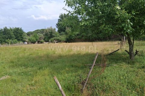 Terra a Seia, Guarda, Seia - € 55.000 | Ref: 382250062 - foto 3