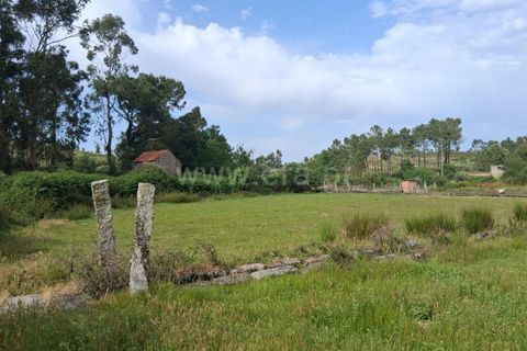 Terra a Seia, Guarda, Seia - € 55.000 | Ref: 382250062 - foto 4