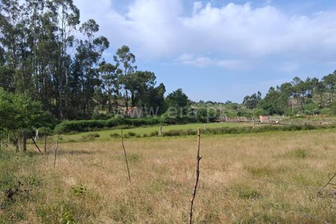 Terra a Seia, Guarda, Seia - € 55.000 | Ref: 382250062 - foto 5