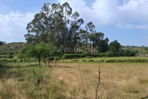 Terra a Seia, Guarda, Seia - € 55.000 | Ref: 382250062 - foto 6