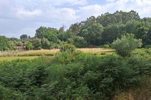 Terra a Seia, Guarda, Seia - € 55.000 | Ref: 382250062 - foto 8