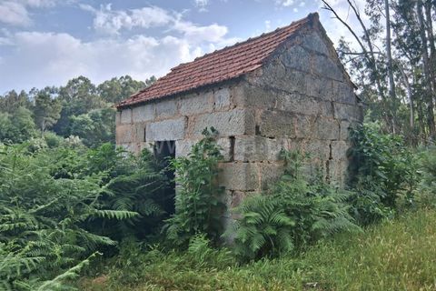 Terra a Seia, Guarda, Seia - € 55.000 | Ref: 382250062 - foto 9