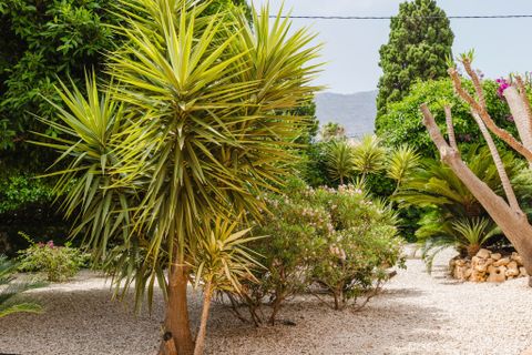 Villa a Denia, Alicante, Denia - € 1.395.000 | Ref: BHHS-CBL-0953 - foto 12