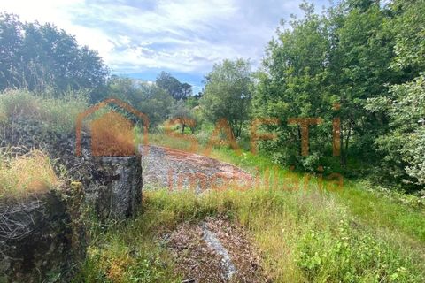 Villa i Ranhados, Viseu, Ranhados - € 600.000 | Ref: SAFTI:006878 - foto 3