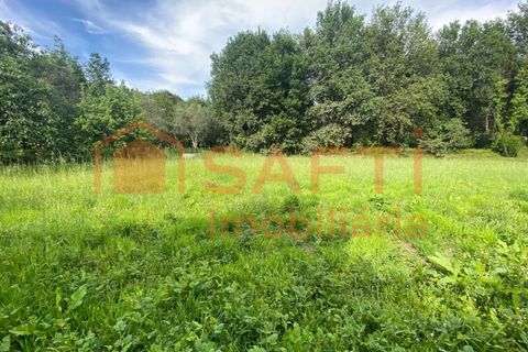Villa i Ranhados, Viseu, Ranhados - € 600.000 | Ref: SAFTI:006878 - foto 4