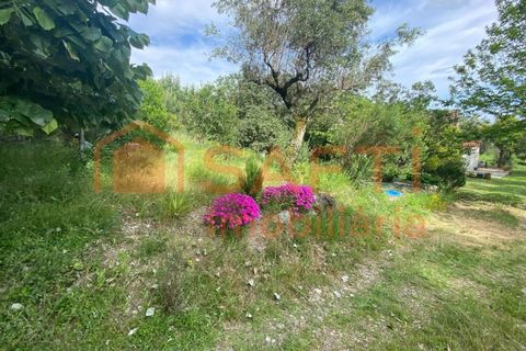 Villa i Ranhados, Viseu, Ranhados - € 600.000 | Ref: SAFTI:006878 - foto 5
