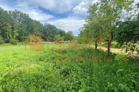 Villa i Ranhados, Viseu, Ranhados - € 600.000 | Ref: SAFTI:006878 - foto 7