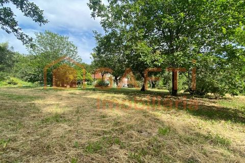 Villa i Ranhados, Viseu, Ranhados - € 600.000 | Ref: SAFTI:006878 - foto 9