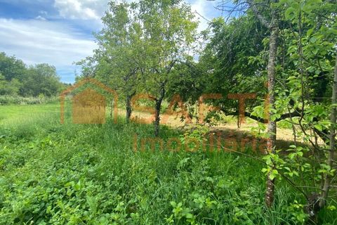 Villa i Ranhados, Viseu, Ranhados - € 600.000 | Ref: SAFTI:006878 - foto 10