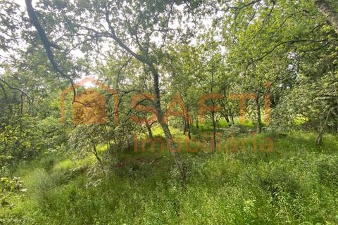 Villa i Ranhados, Viseu, Ranhados - € 600.000 | Ref: SAFTI:006878 - foto 11